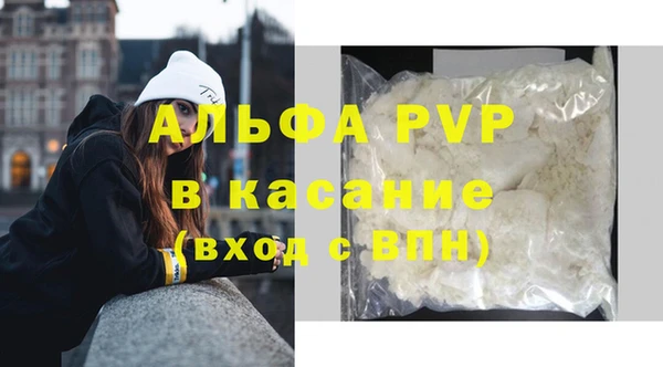 PSILOCYBIN Белокуриха