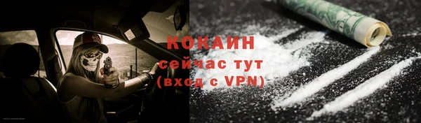 PSILOCYBIN Белокуриха