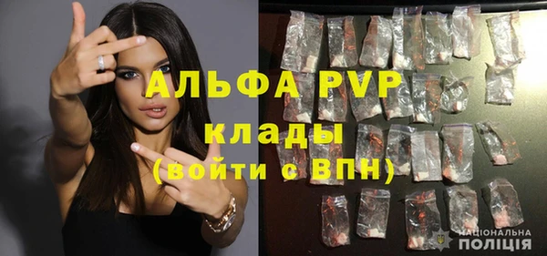 PSILOCYBIN Белокуриха