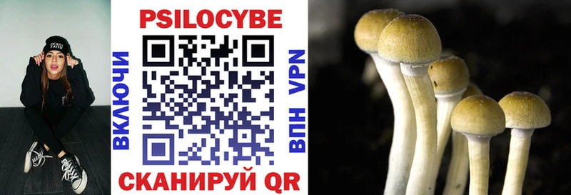 Псилоцибиновые грибы Cubensis  Верхняя Тура 
